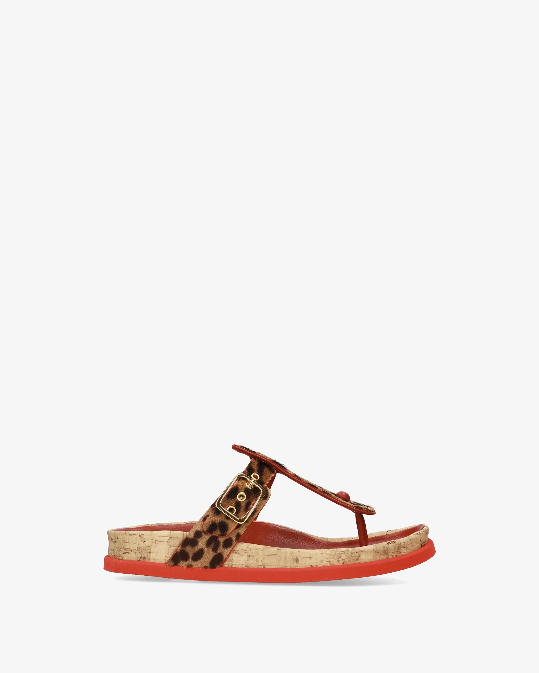 Winter Sale 40% Off